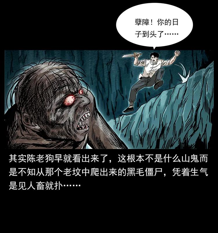 231 东海木龙22