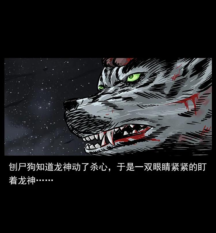 197 神之眼77