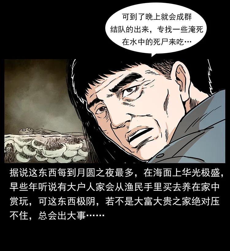 240 意外频发的诱捕49