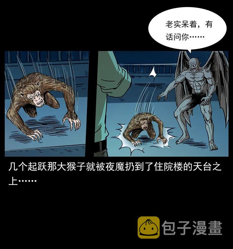 229 东海龙骨6