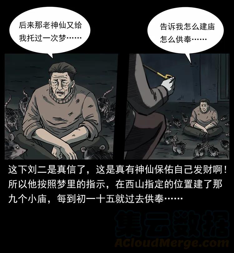 251 刨尸狗遇险56