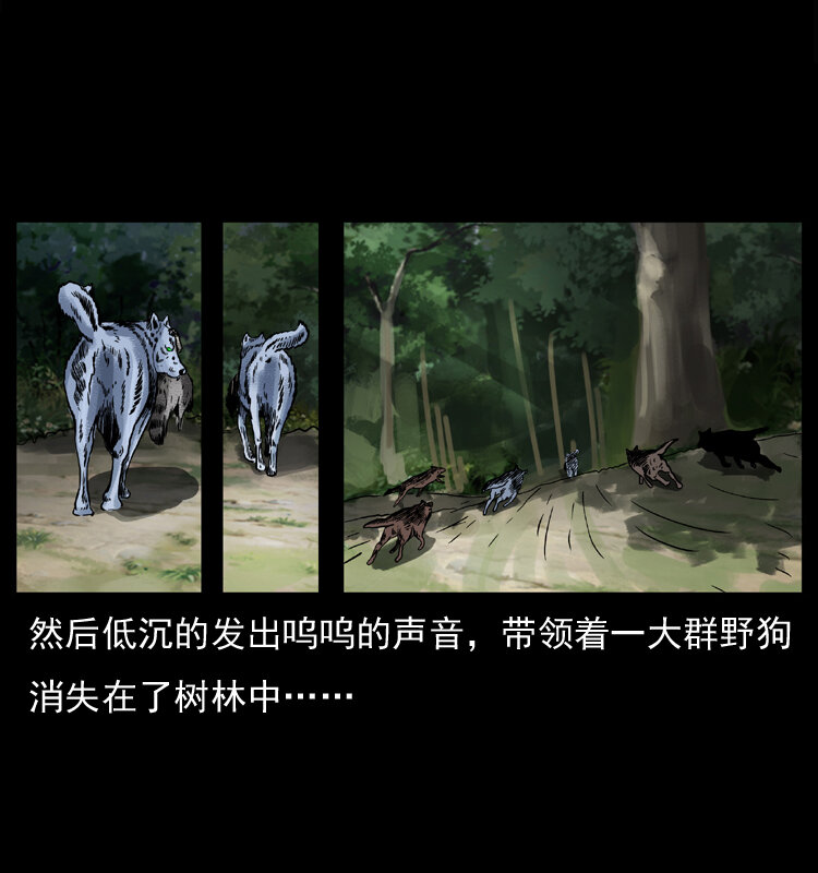 037 百雀丹（下）28
