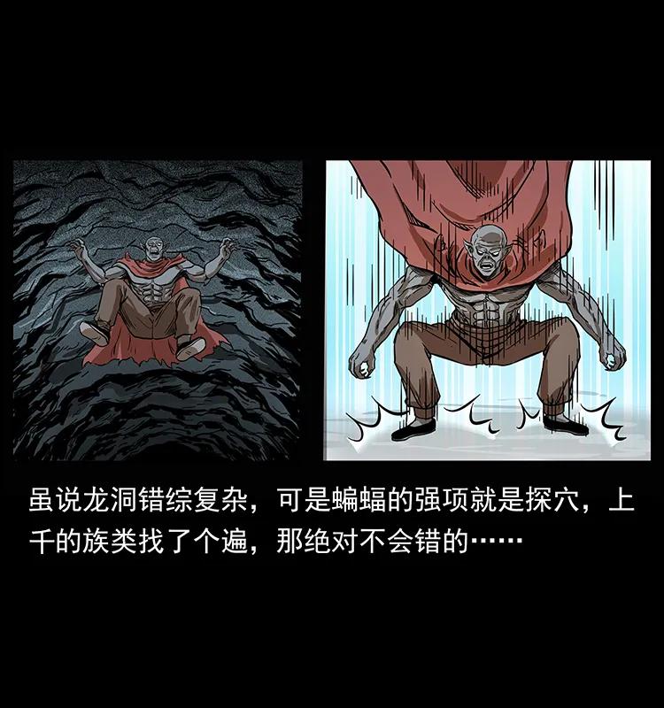 204 回家！73
