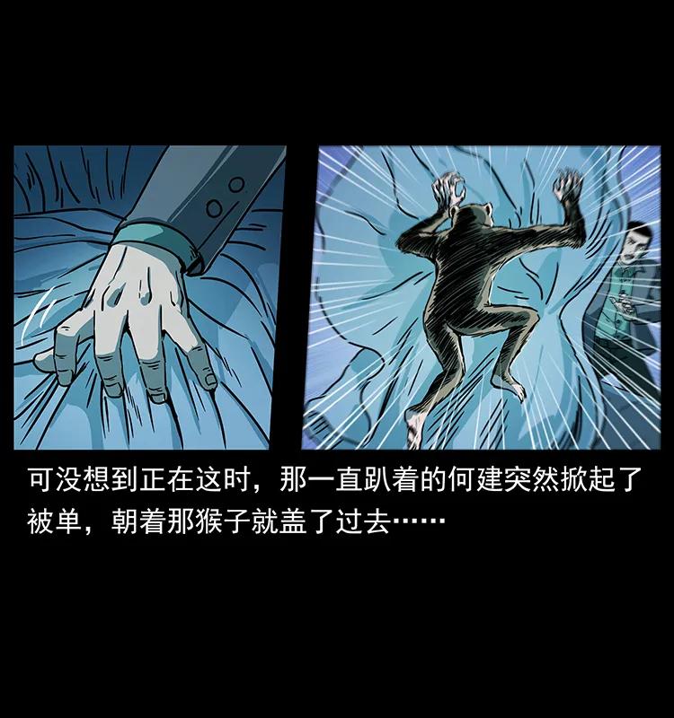 228 凶兽66