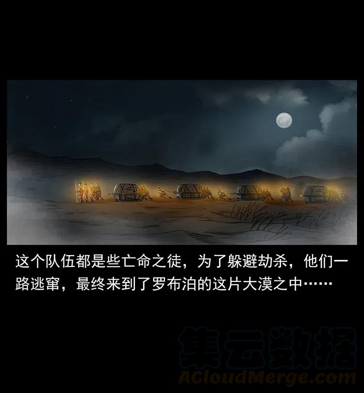 318 沙漠秃鹰84
