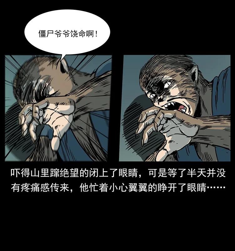 227 猴脑6