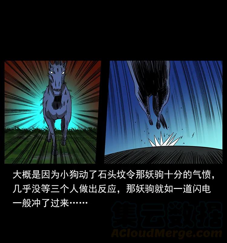 158 妖驹的选择16