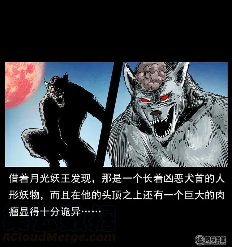 109 妖仙刨尸狗4