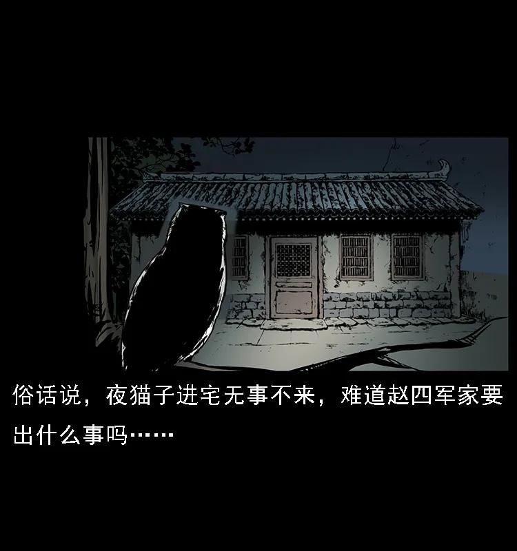 088 勾魂鸟夜枭3