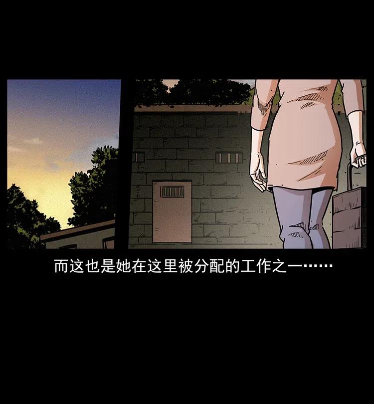350 桥魂71