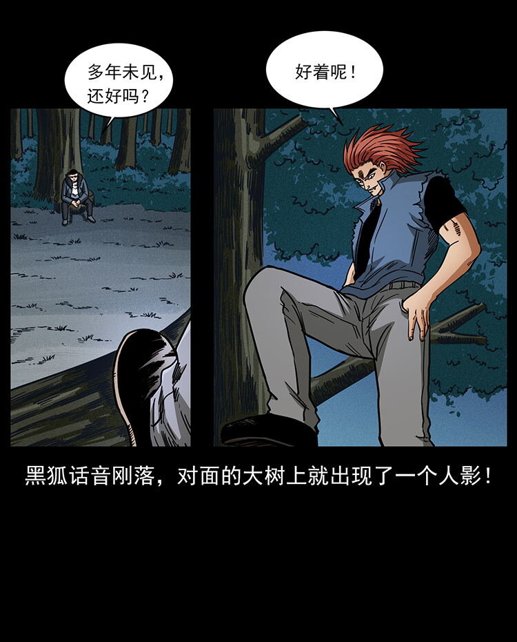 486 人与狐71