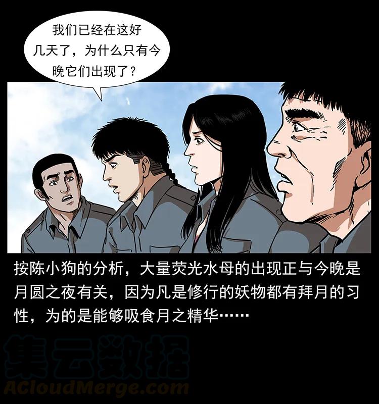 240 意外频发的诱捕56
