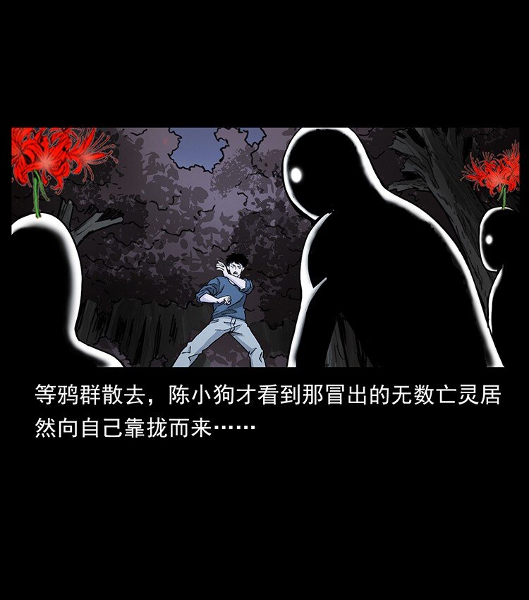 491 硬刚11