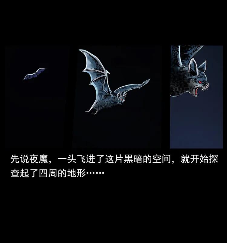 270 黑暗循环79