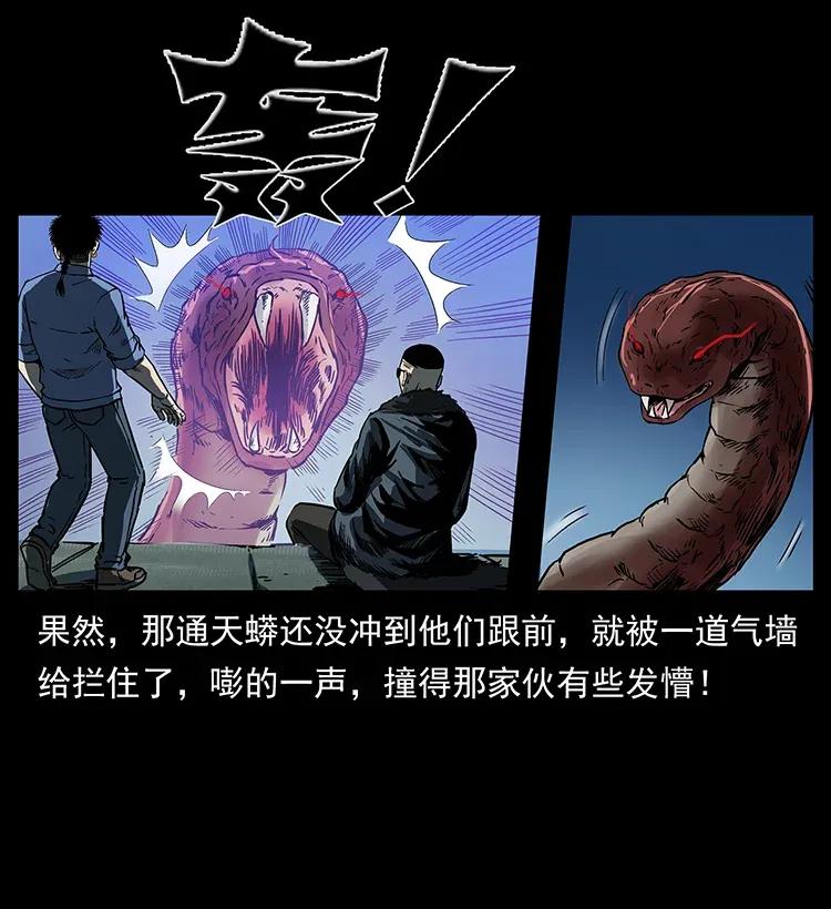 288 强者归队！65