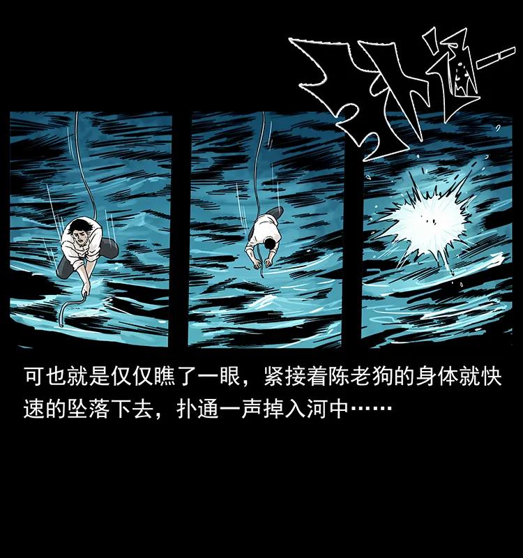 231 东海木龙43