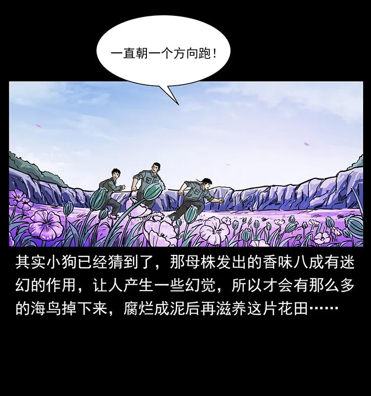 236 神秘的小岛59