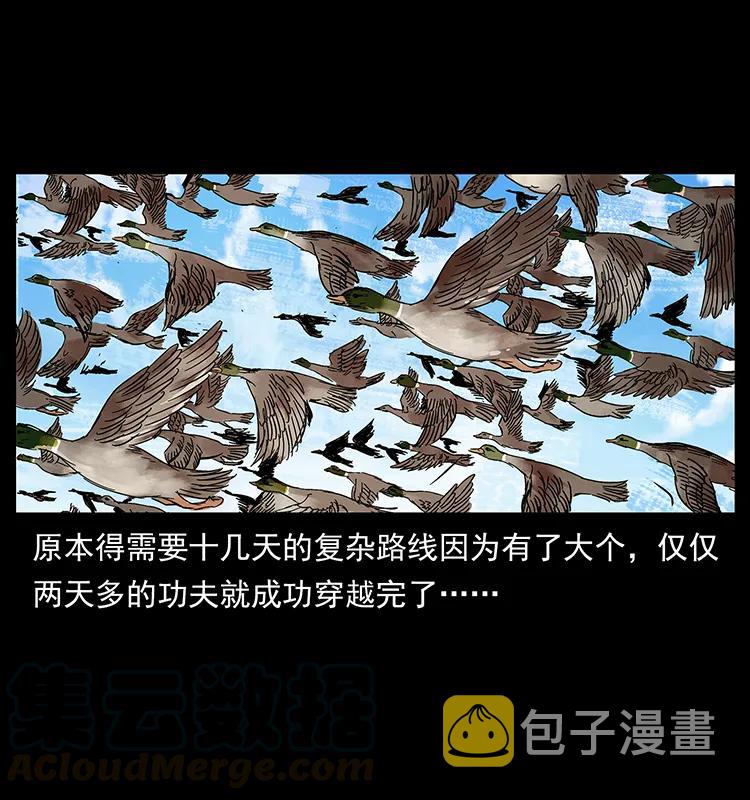 212 草原深处68