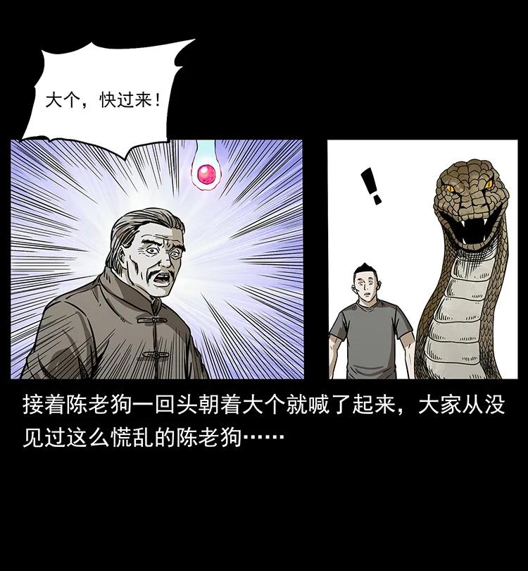 194 血蛊王71