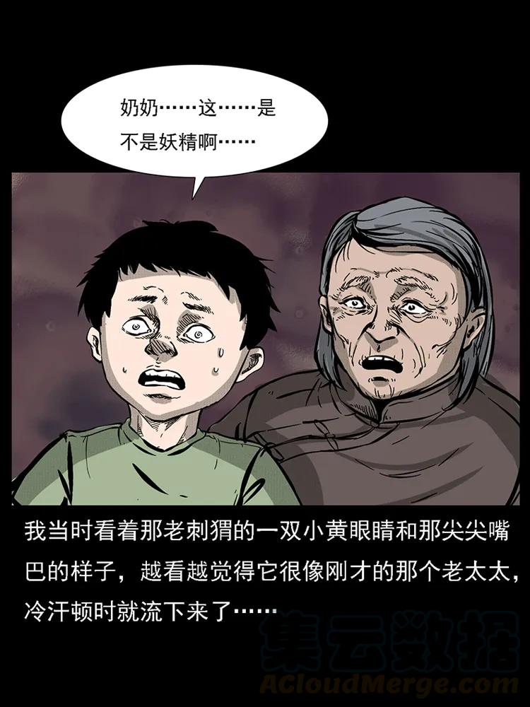 番外2 之保家白仙32