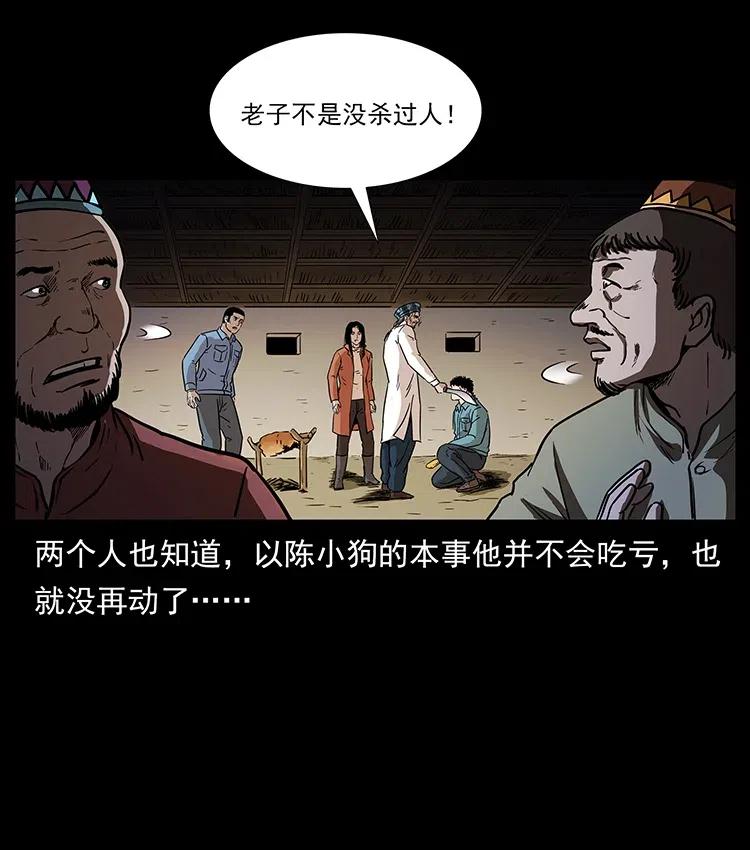 316 大漠归客63