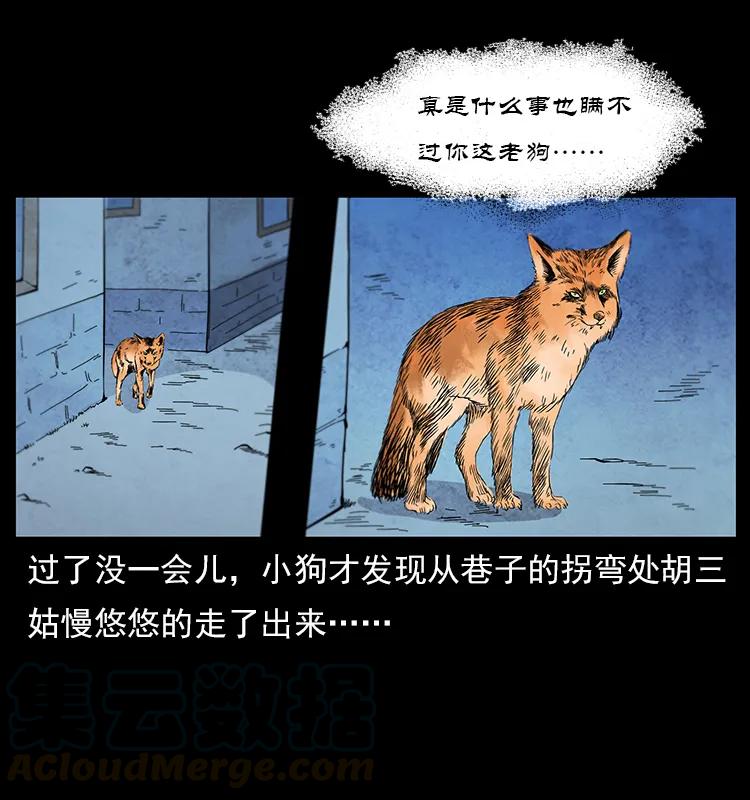 111 新的征程36
