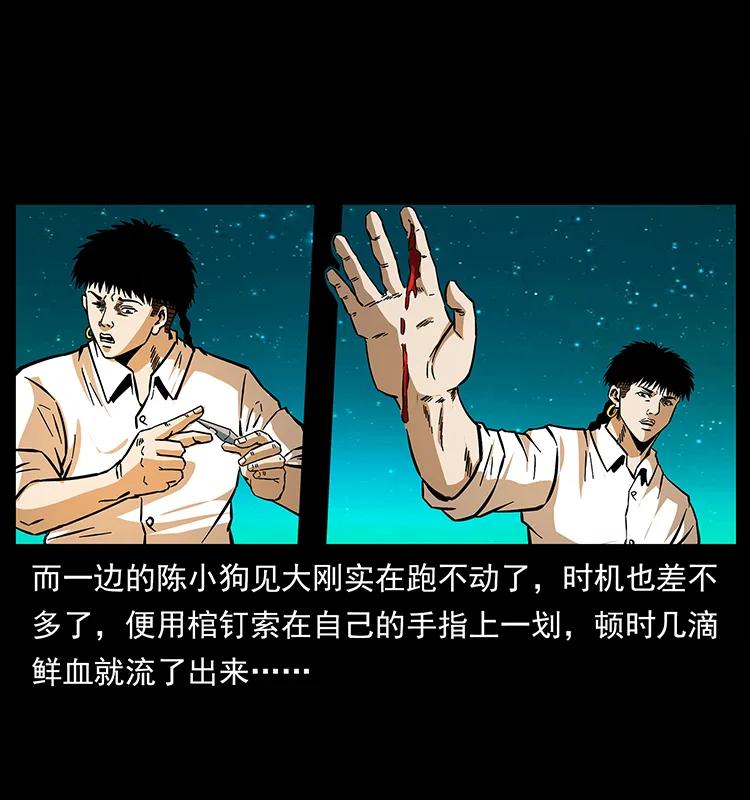 158 妖驹的选择67