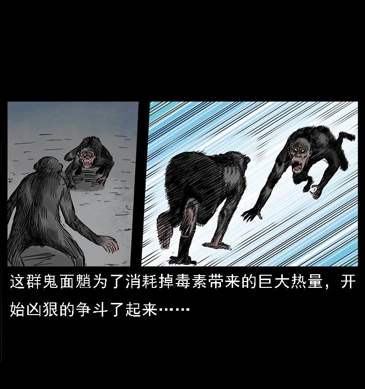 082 鬼桃树50