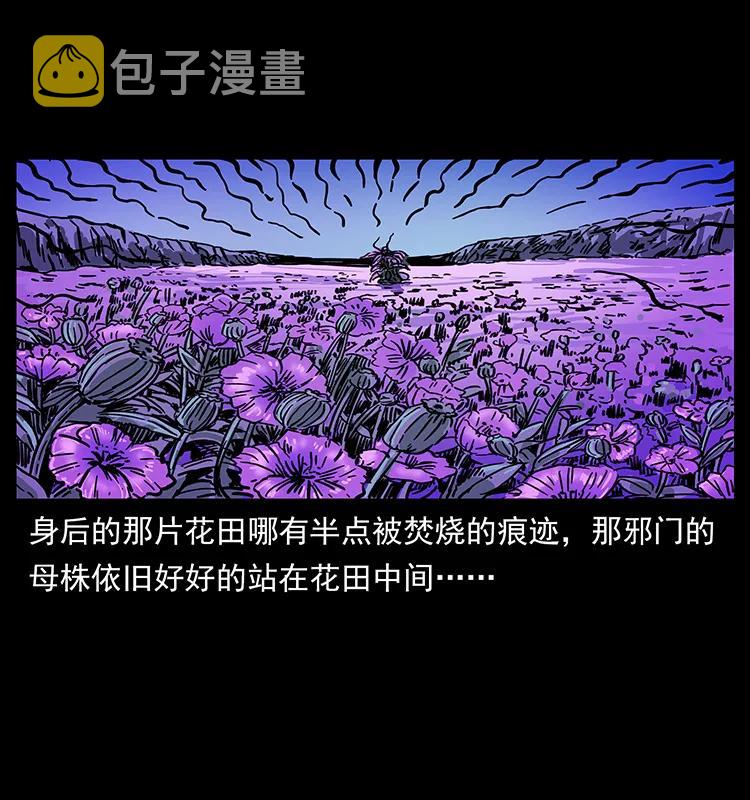 236 神秘的小岛78