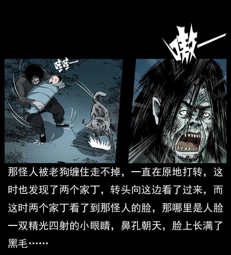 048 刨尸狗传奇144