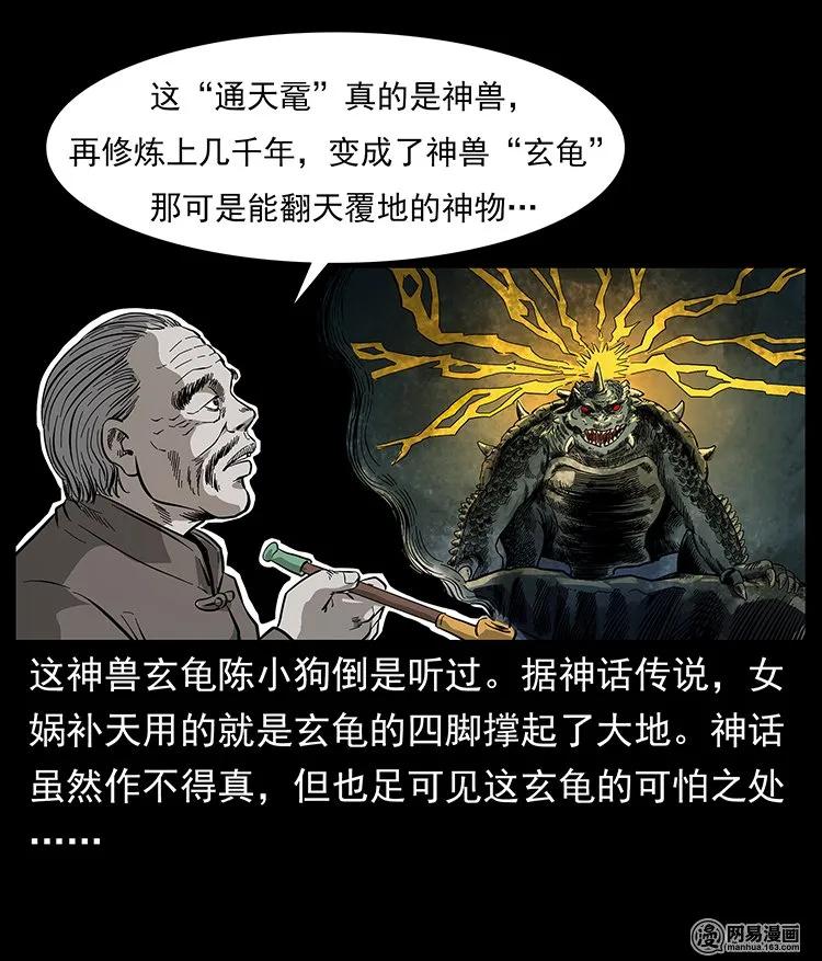 123 新龙骨81