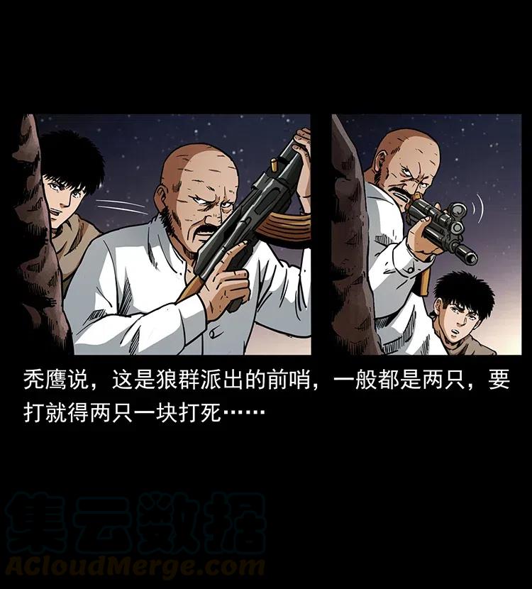 318 沙漠秃鹰32