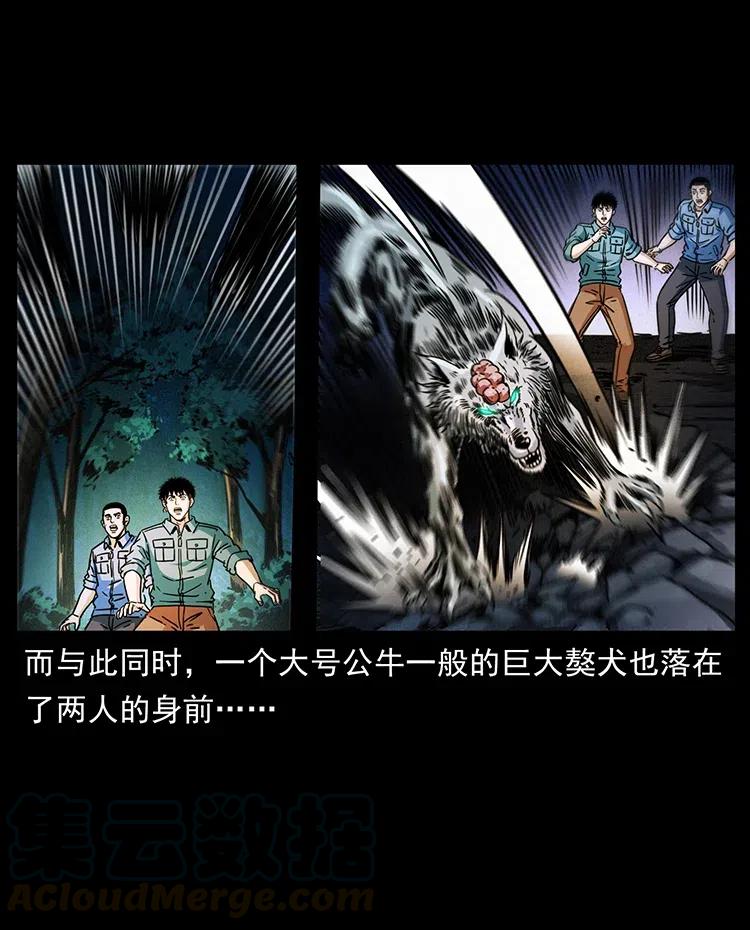 362 半神之境63