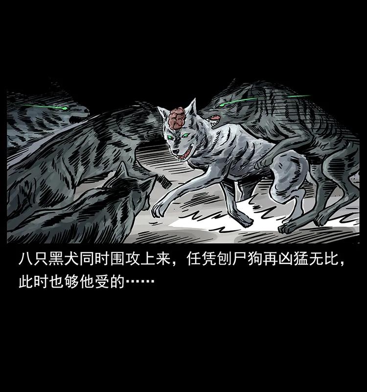 252 危机！危机19