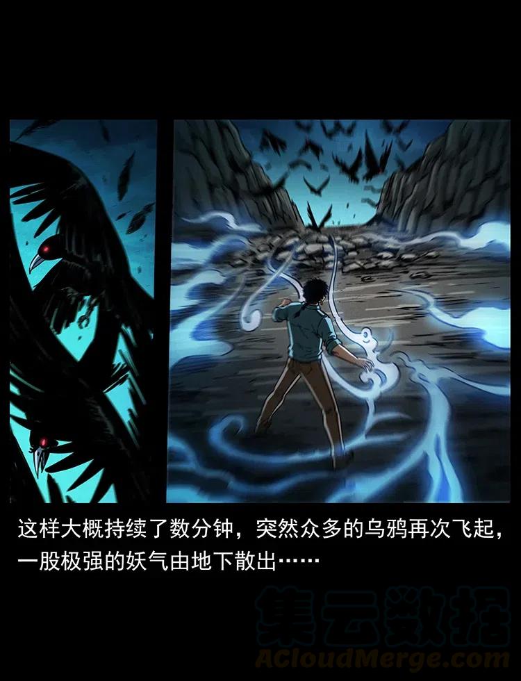 370 乌翅凤凰48