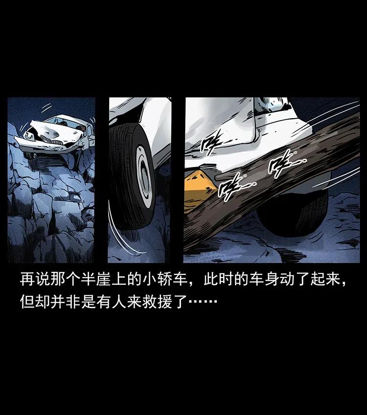 311 一窝生几个？86