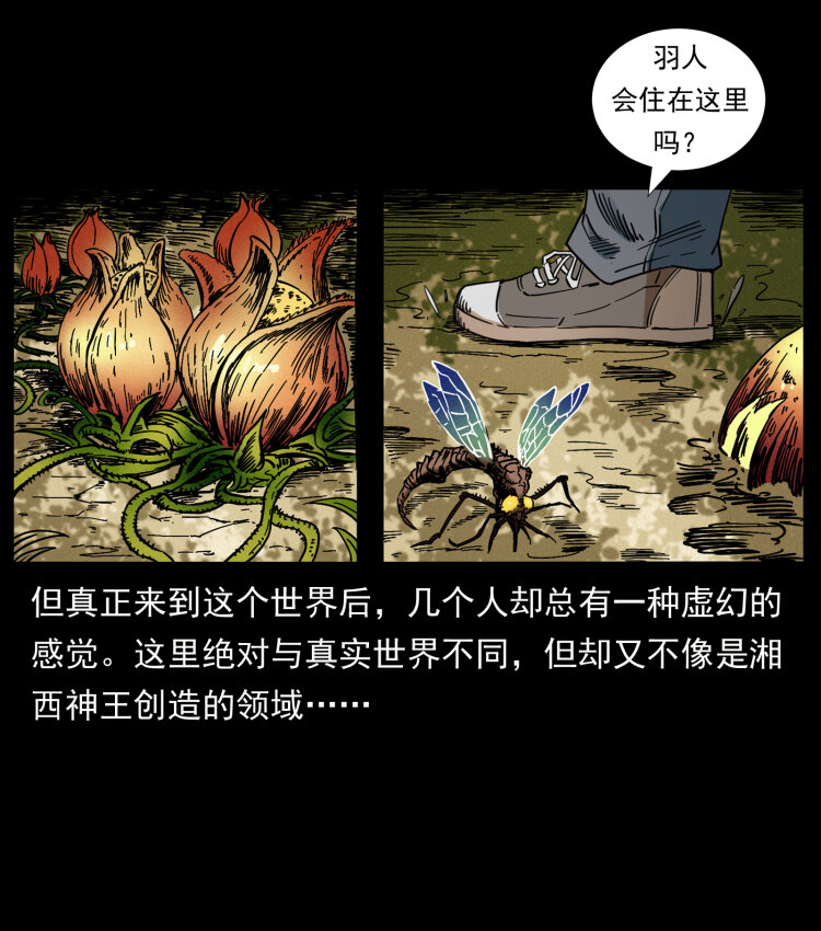 441 羽人之境2