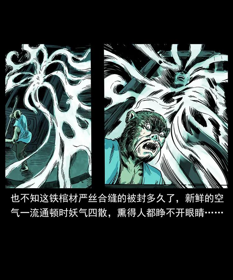 226 铁棺冢63