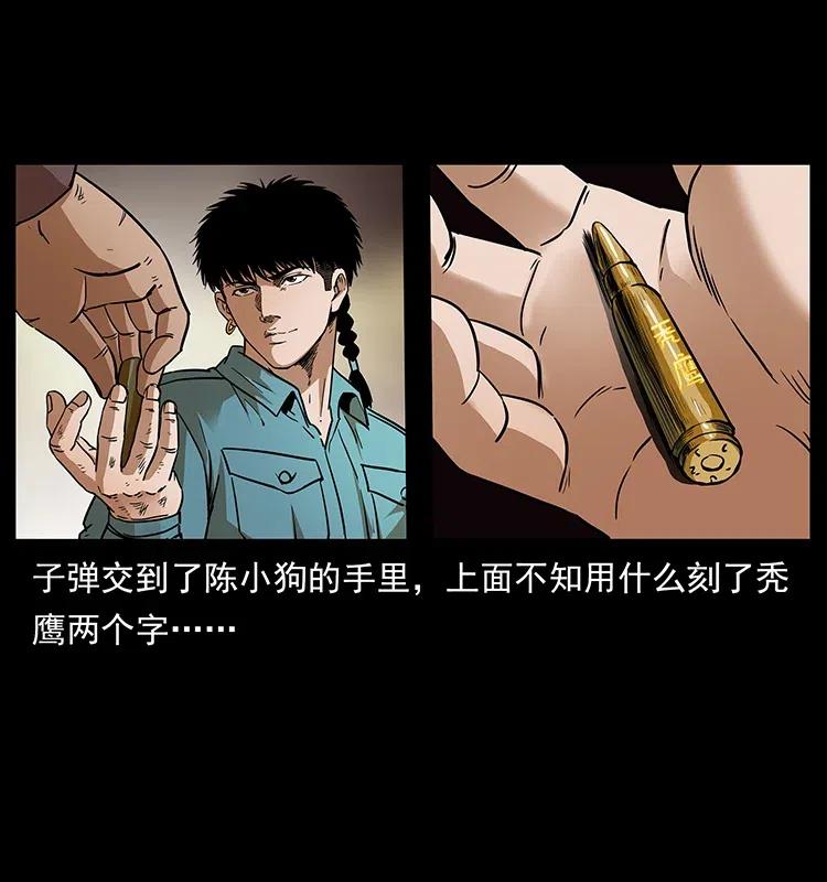 317 大漠凶兽57