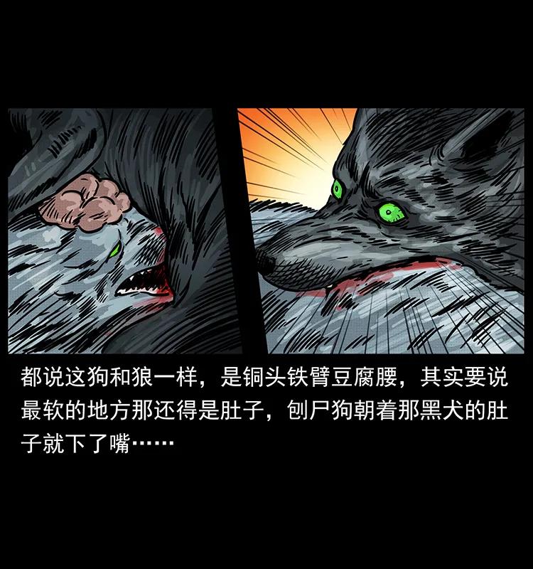 252 危机！危机25