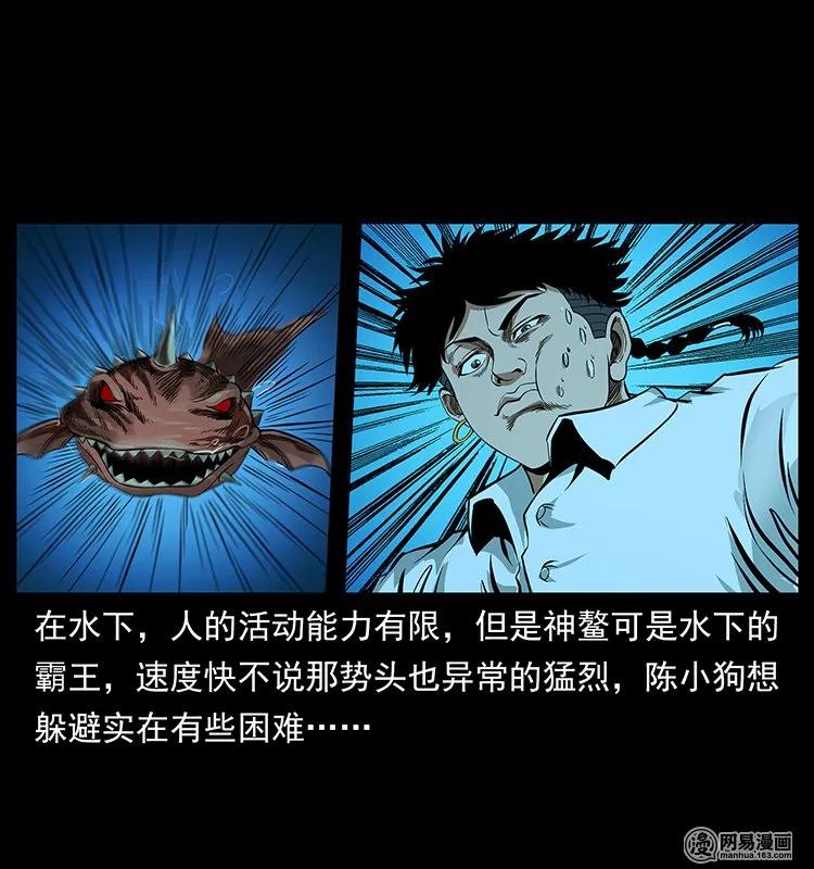 124 神鳌18