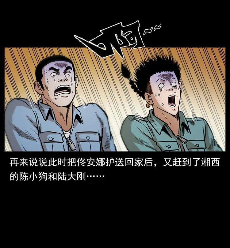 332 挺进大湘西41