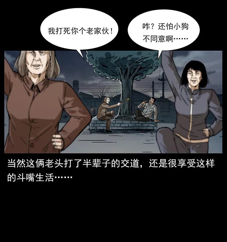 230 生桩7