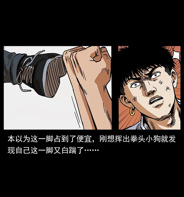 206 不断成长的陈小狗29
