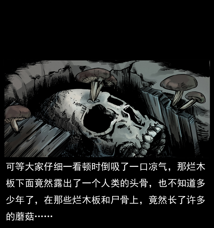006 棺材菇30