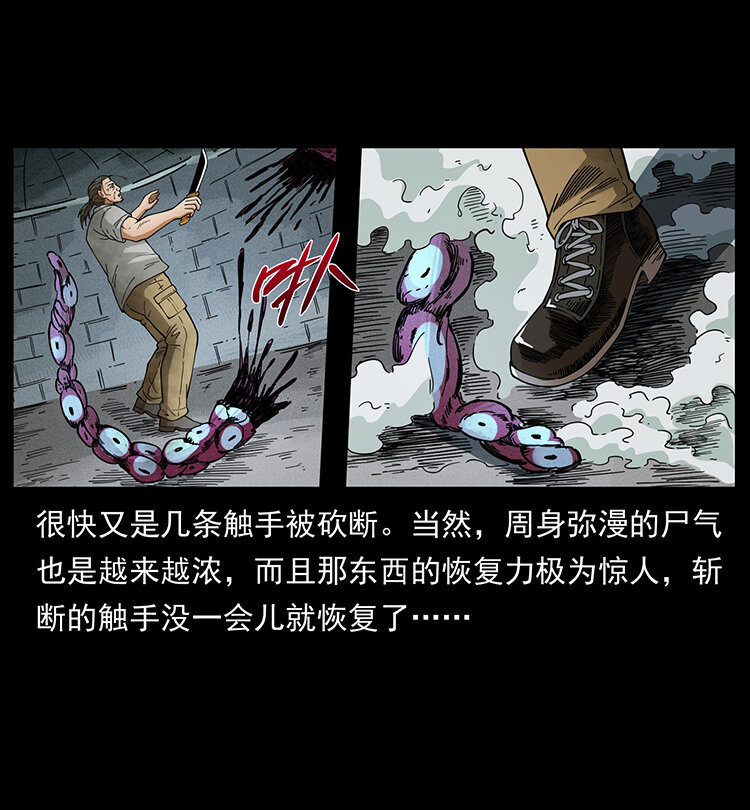 438 变异尸毒81