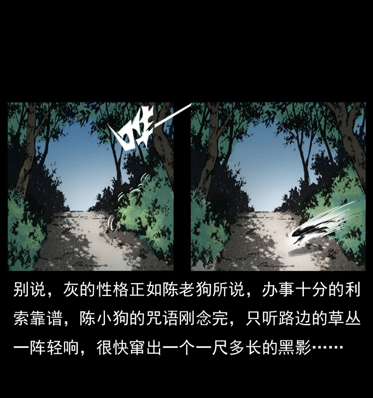 036 百雀丹（上）25