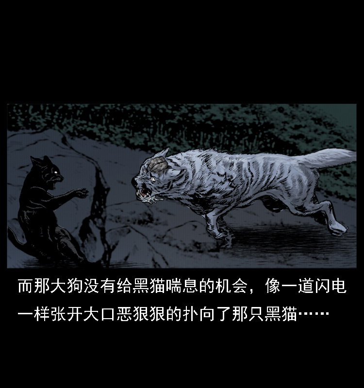 004 猫妖60