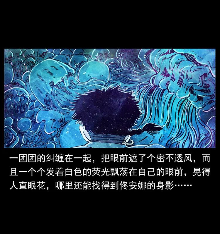 240 意外频发的诱捕22