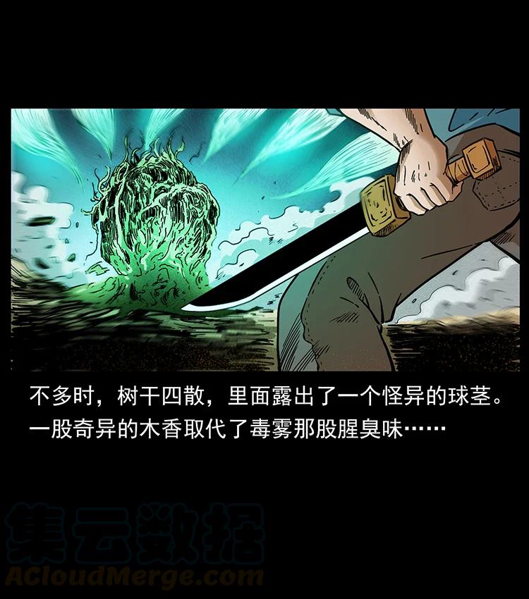390 斩草除根75